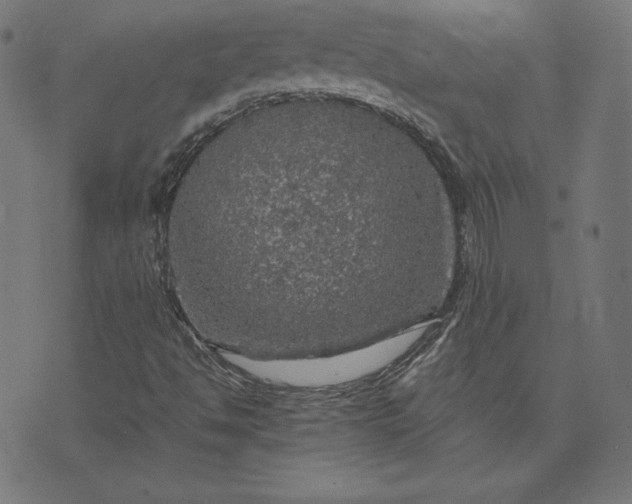 X0000073751494200608171318