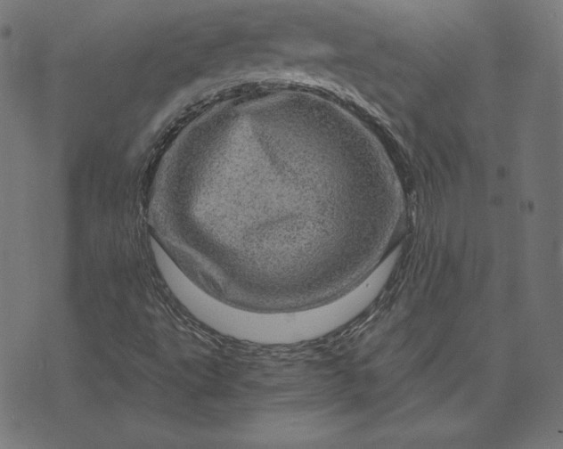 X0000073751495200608171318