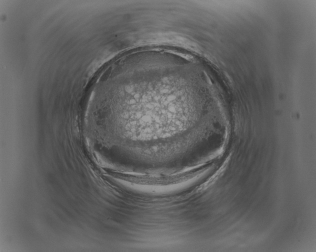 X0000073751497200608171318