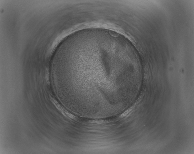 X0000073751499200608171318