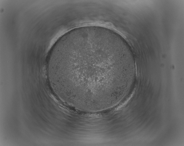 X0000073751501200608171318