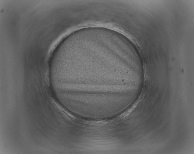 X0000073751502200608171318