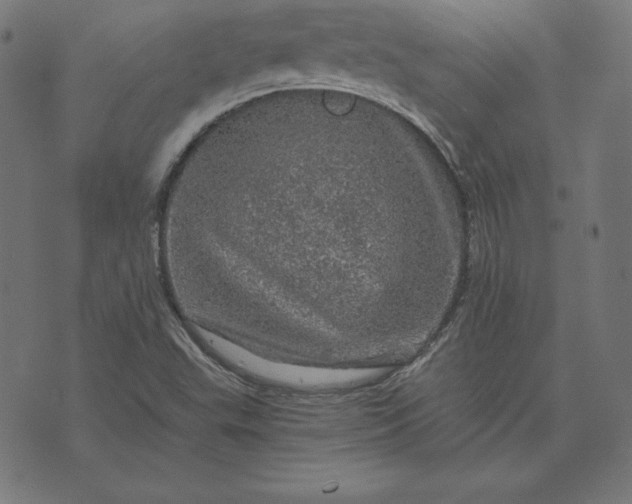 X0000073751503200608171318