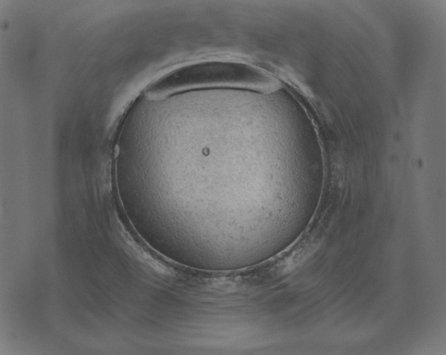 X0000073751504200608171318