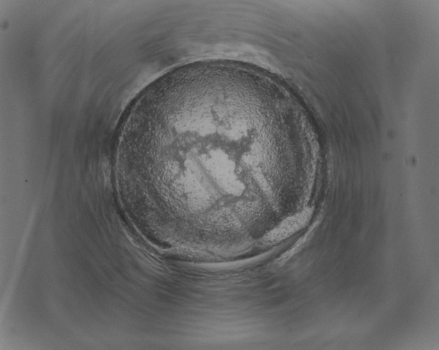 X0000073751505200608171318