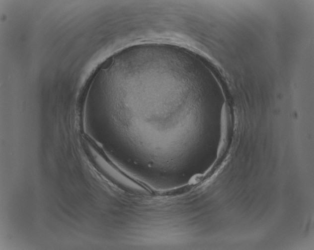 X0000073751506200608171318