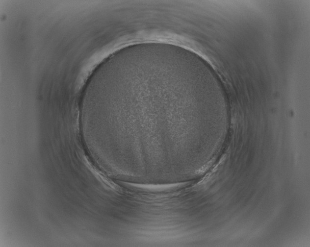 X0000073751507200608171318