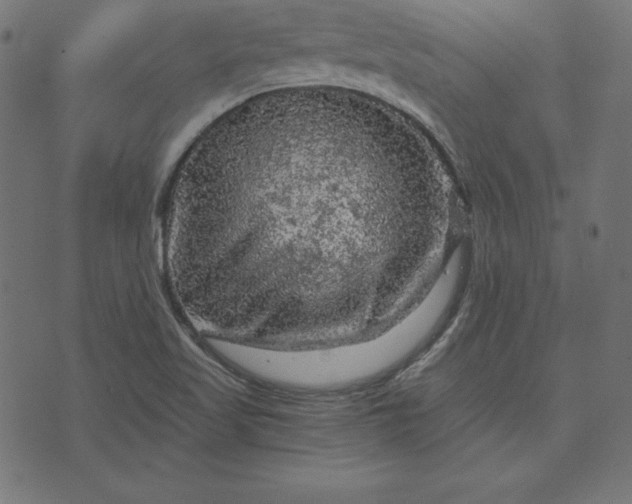 X0000073751509200608171318