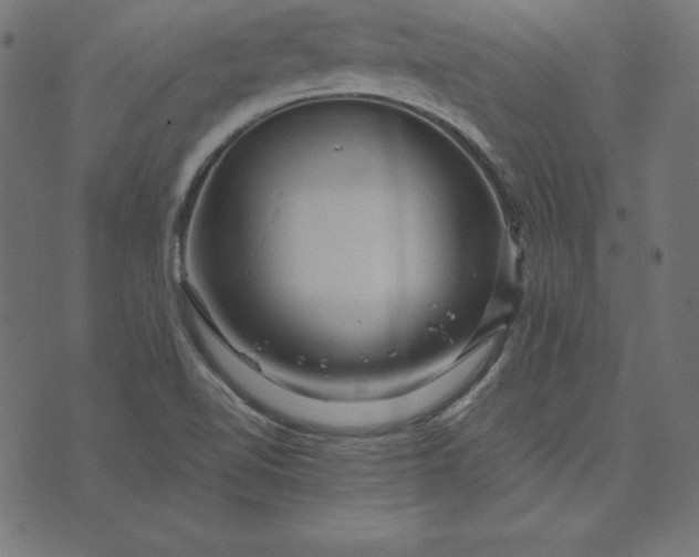 X0000073751510200608171318