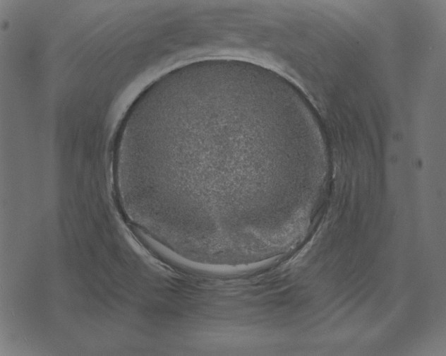 X0000073751511200608171318