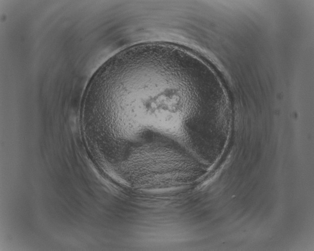 X0000073751513200608171318