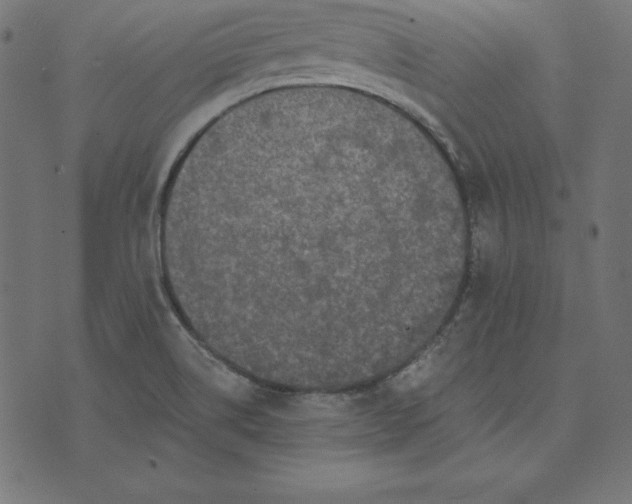 X0000073751514200608171318