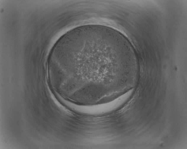 X0000073751515200608171318