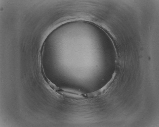 X0000073751516200608171318