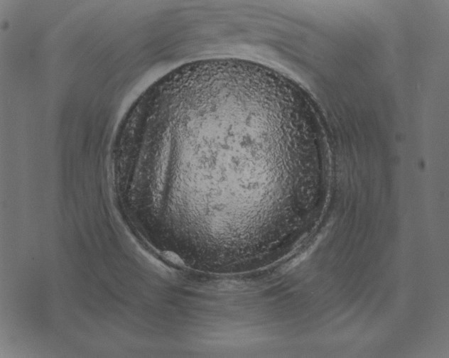 X0000073751517200608171318