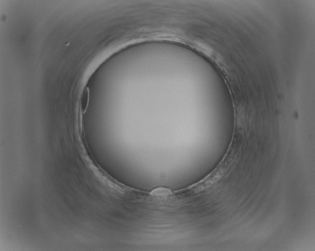 X0000073751520200608171318