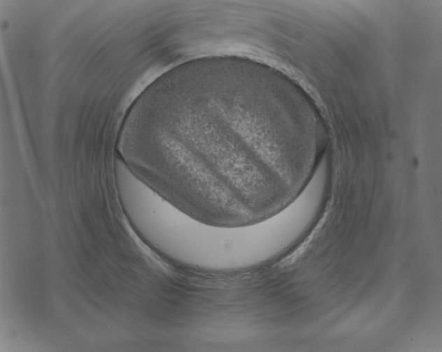 X0000073751521200608171318