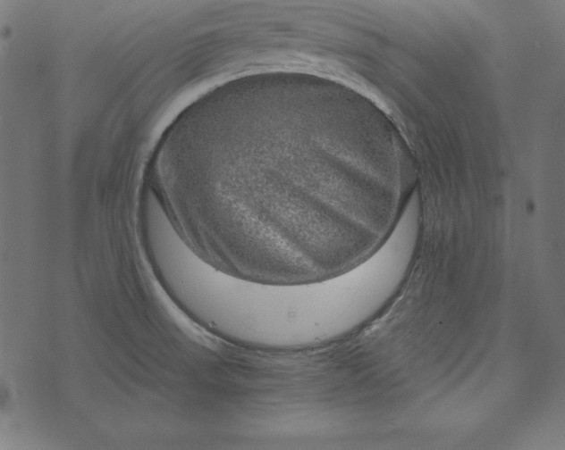 X0000073751523200608171318