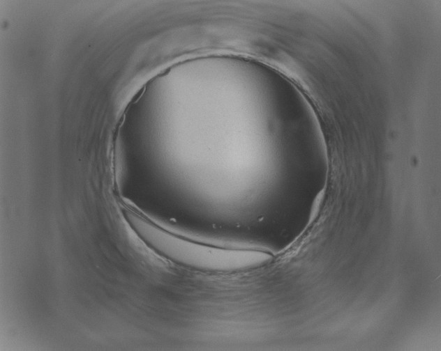 X0000073751524200608171318