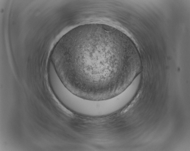 X0000073751525200608171318