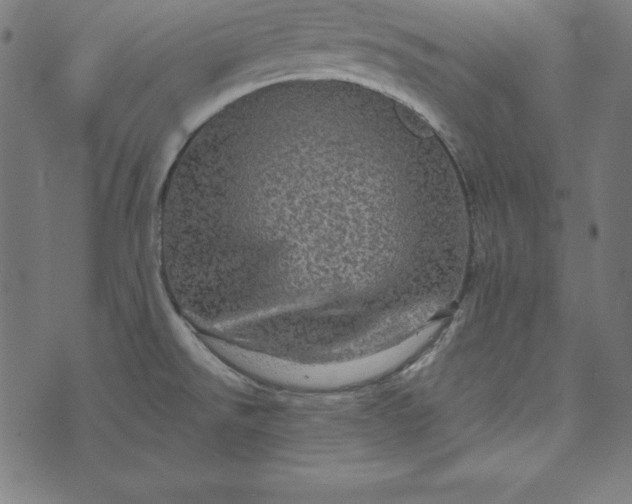 X0000073751526200608171318