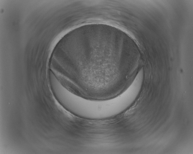 X0000073751527200608171318