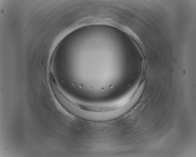 X0000073751528200608171318