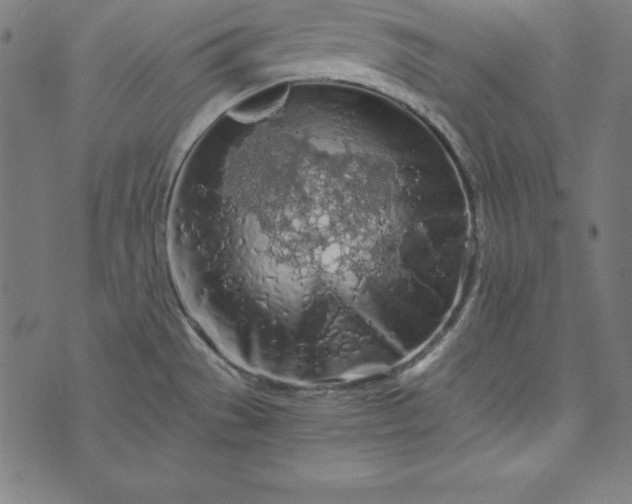 X0000073751529200608171318