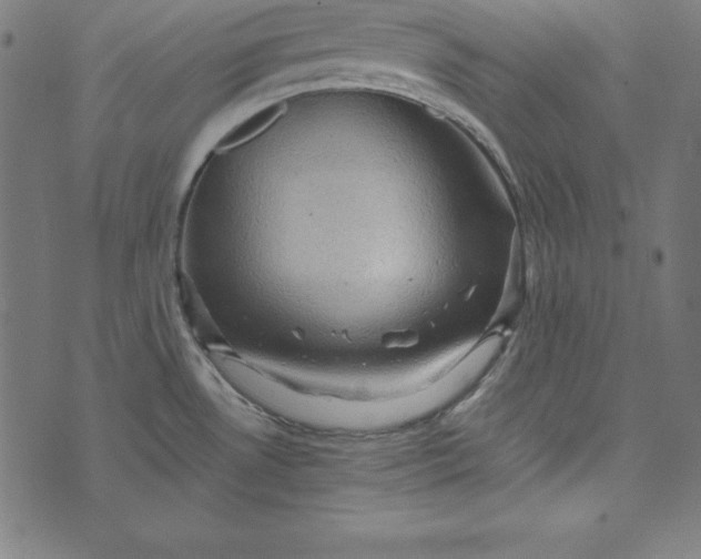 X0000073751530200608171318