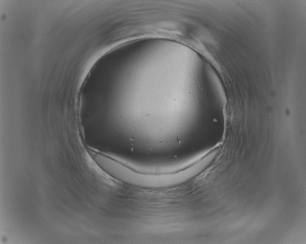 X0000073751532200608171318