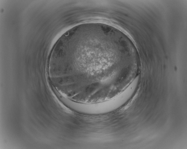 X0000073751533200608171318