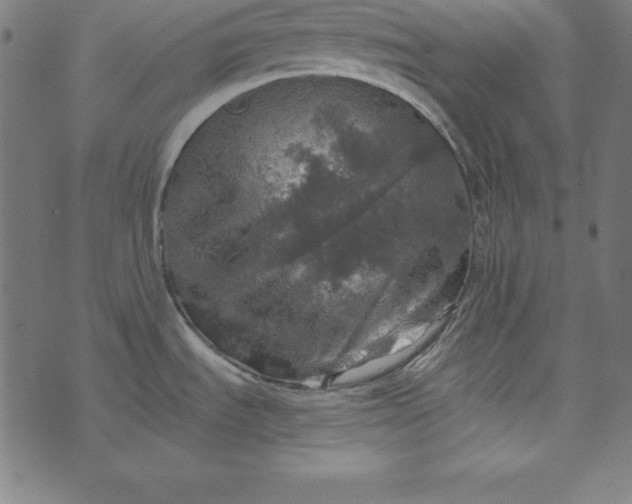 X0000073751535200608171318