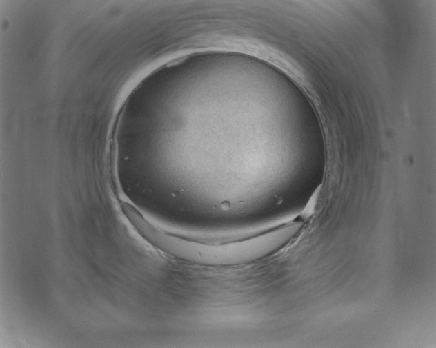 X0000073751536200608171318