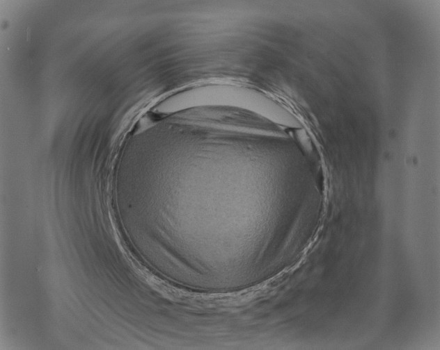 X0000073750001200608241358