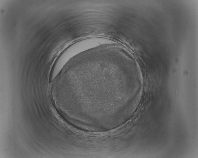 X0000073750002200608241358