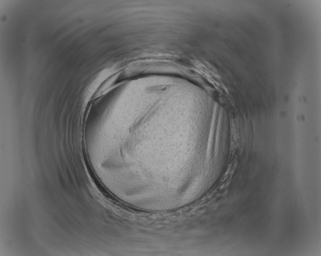 X0000073750003200608241358