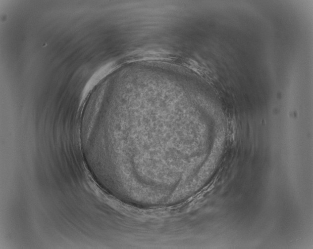 X0000073750004200608241358