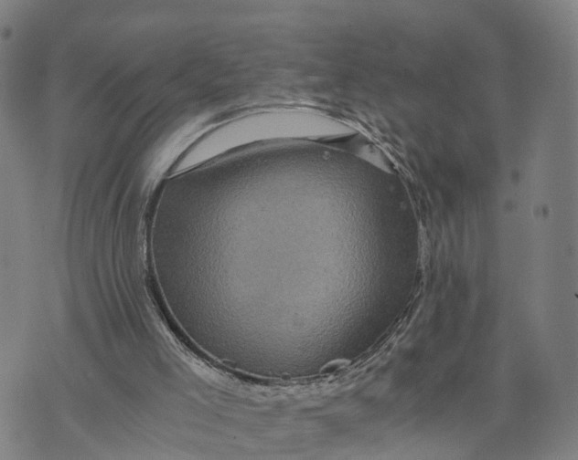 X0000073750005200608241358