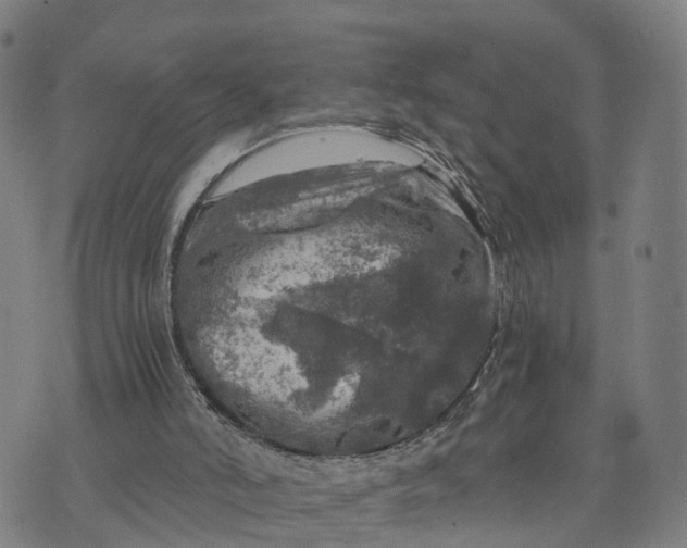 X0000073750006200608241358