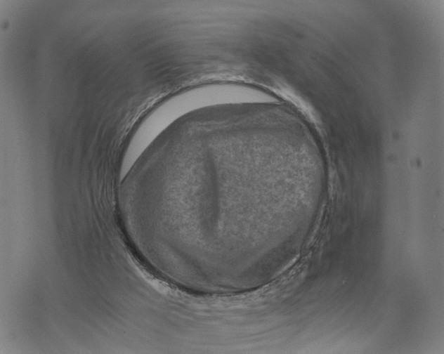 X0000073750009200608241358