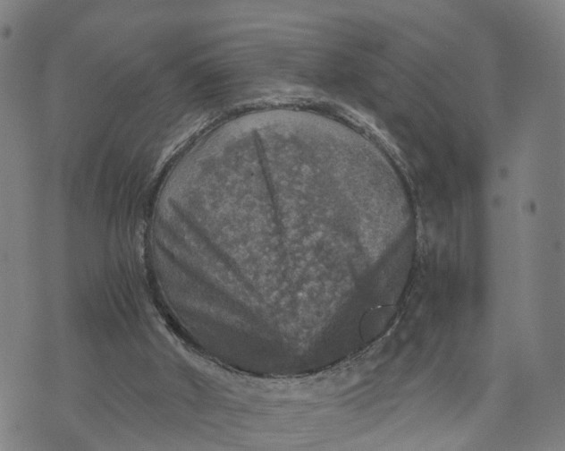 X0000073750010200608241358