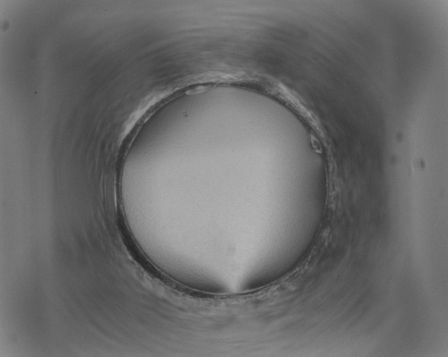 X0000073750011200608241358