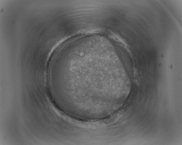 X0000073750012200608241358