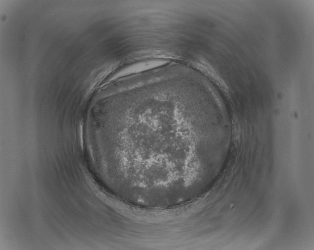 X0000073750014200608241358