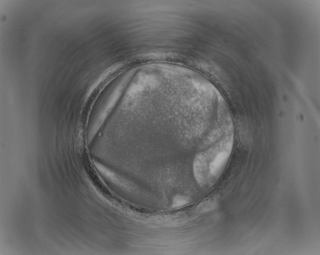 X0000073750016200608241358