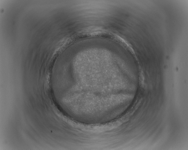 X0000073750018200608241358