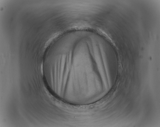 X0000073750019200608241358