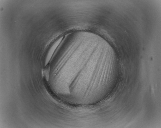 X0000073750020200608241358