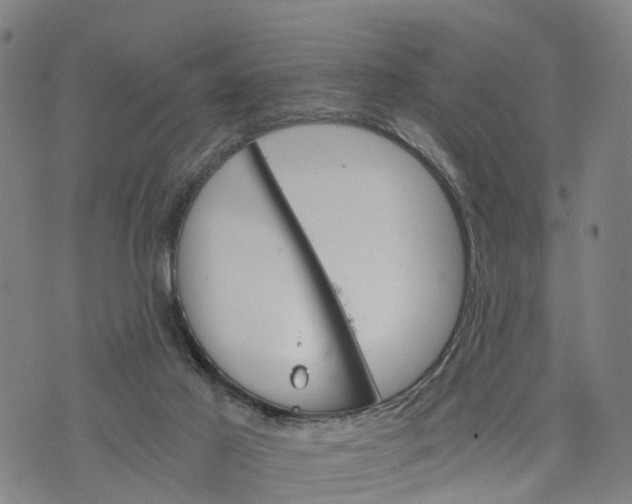 X0000073750021200608241358