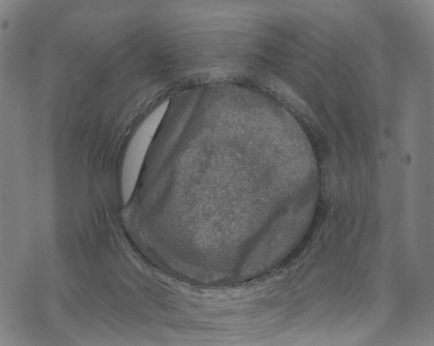 X0000073750022200608241358